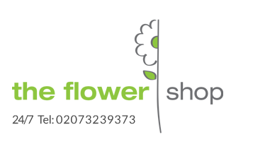 The Flower Shop in London
